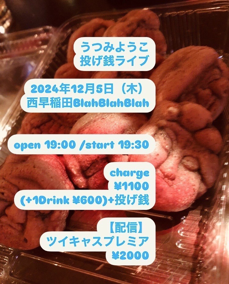12/5 “うつみようこ 投げ銭ライブ"